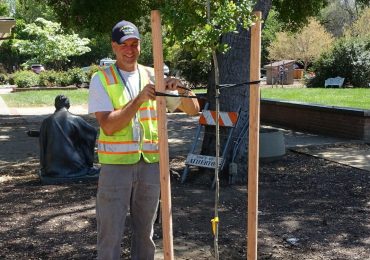 Participate in Atherton Arbor Day on April 18