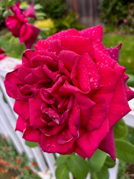 Catching up on the rain report with updated numbers