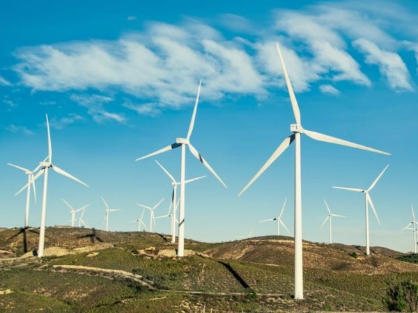 Senator Becker launches “Good News Climate” blog