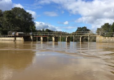 Learn about and comment on the Searsville Watershed Restoration Project