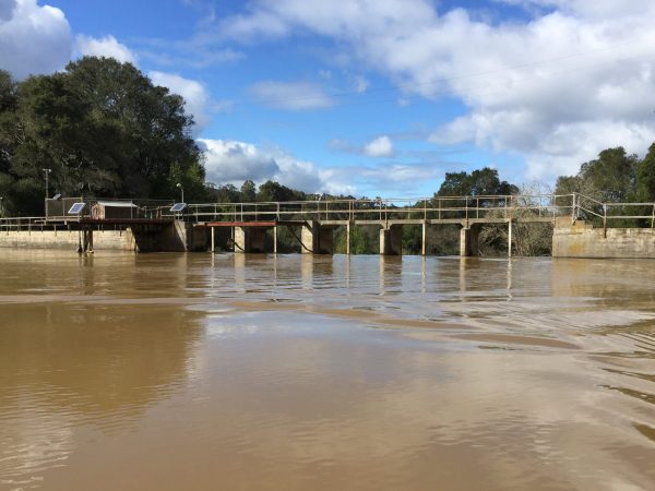 Learn about and comment on the Searsville Watershed Restoration Project