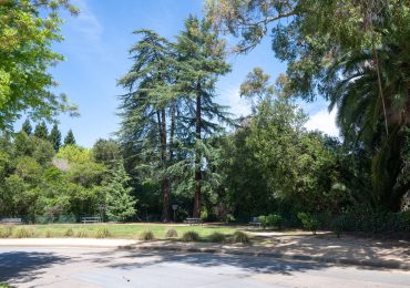 The Other Side of the Creek: What Hopkins Creekside Park Actually Preserves