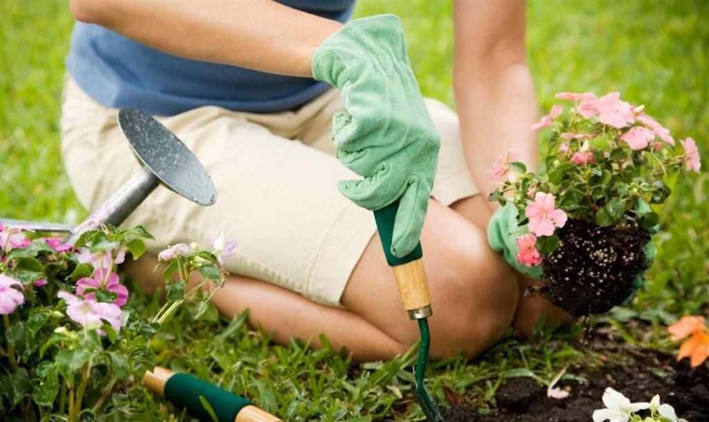 “Flowers for Your Garden” is topic on May 6