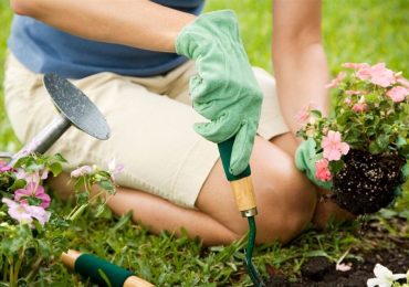 “Flowers for Your Garden” is topic on May 6