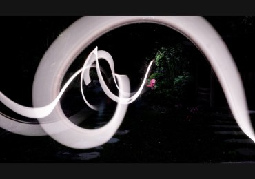 Wonderful — and unusual — photo taken in Atherton by Doug Klein