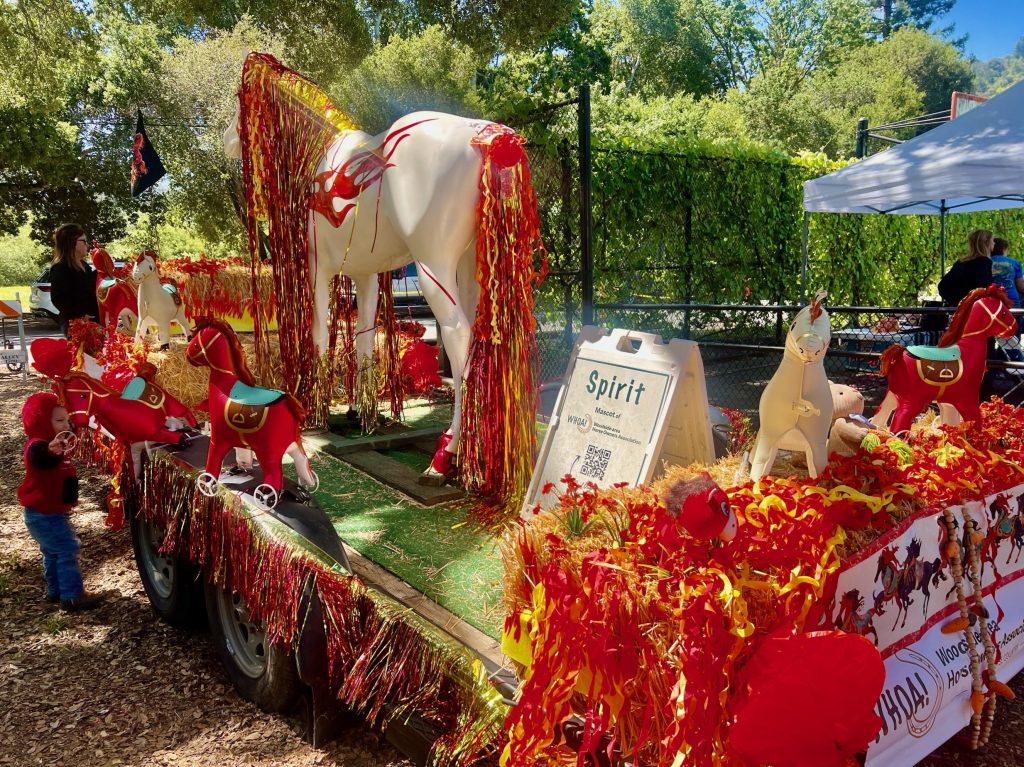 Spotted: Activities at the Portola Valley Horse Fair