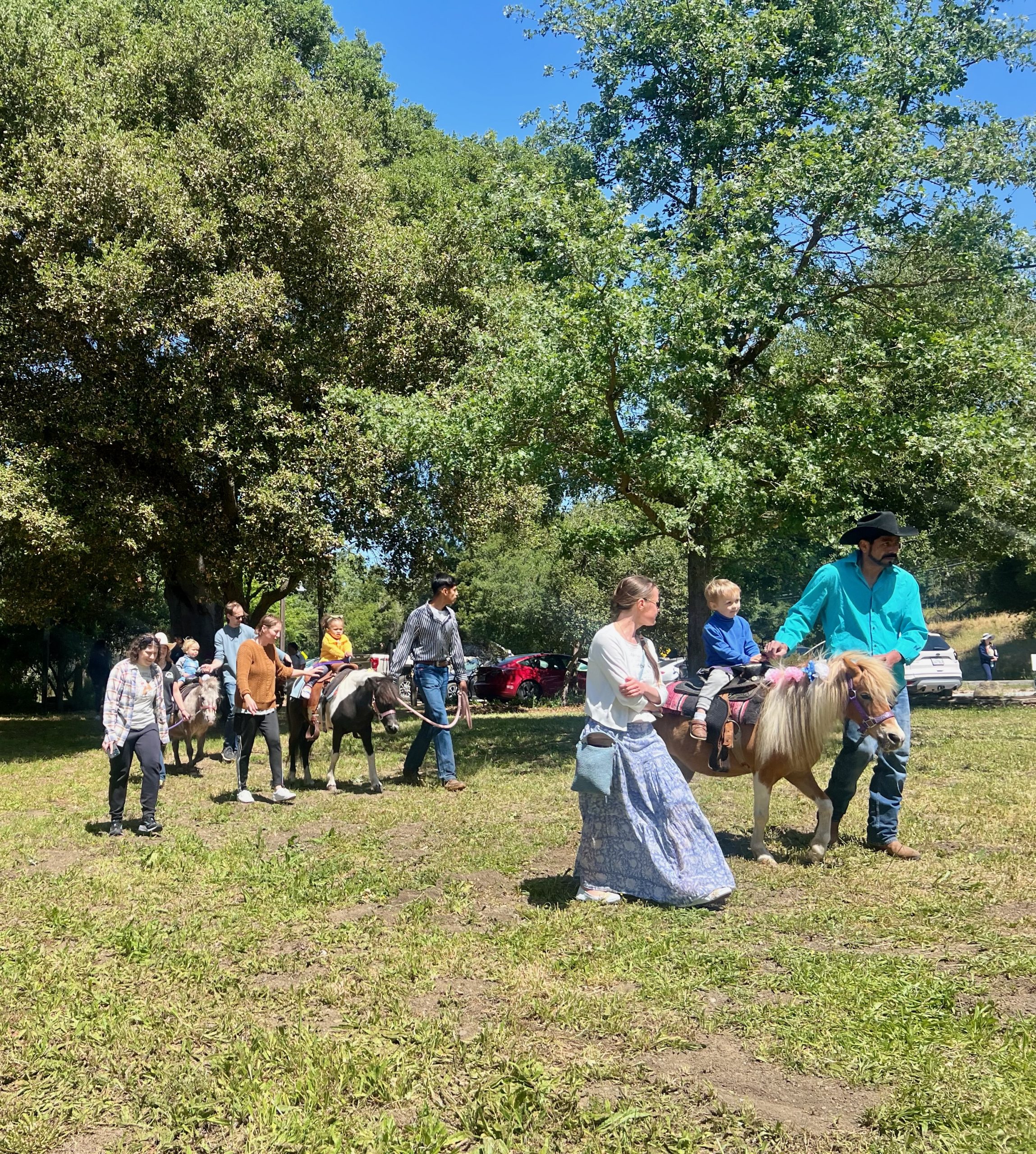 Portola Valley Horse Fair