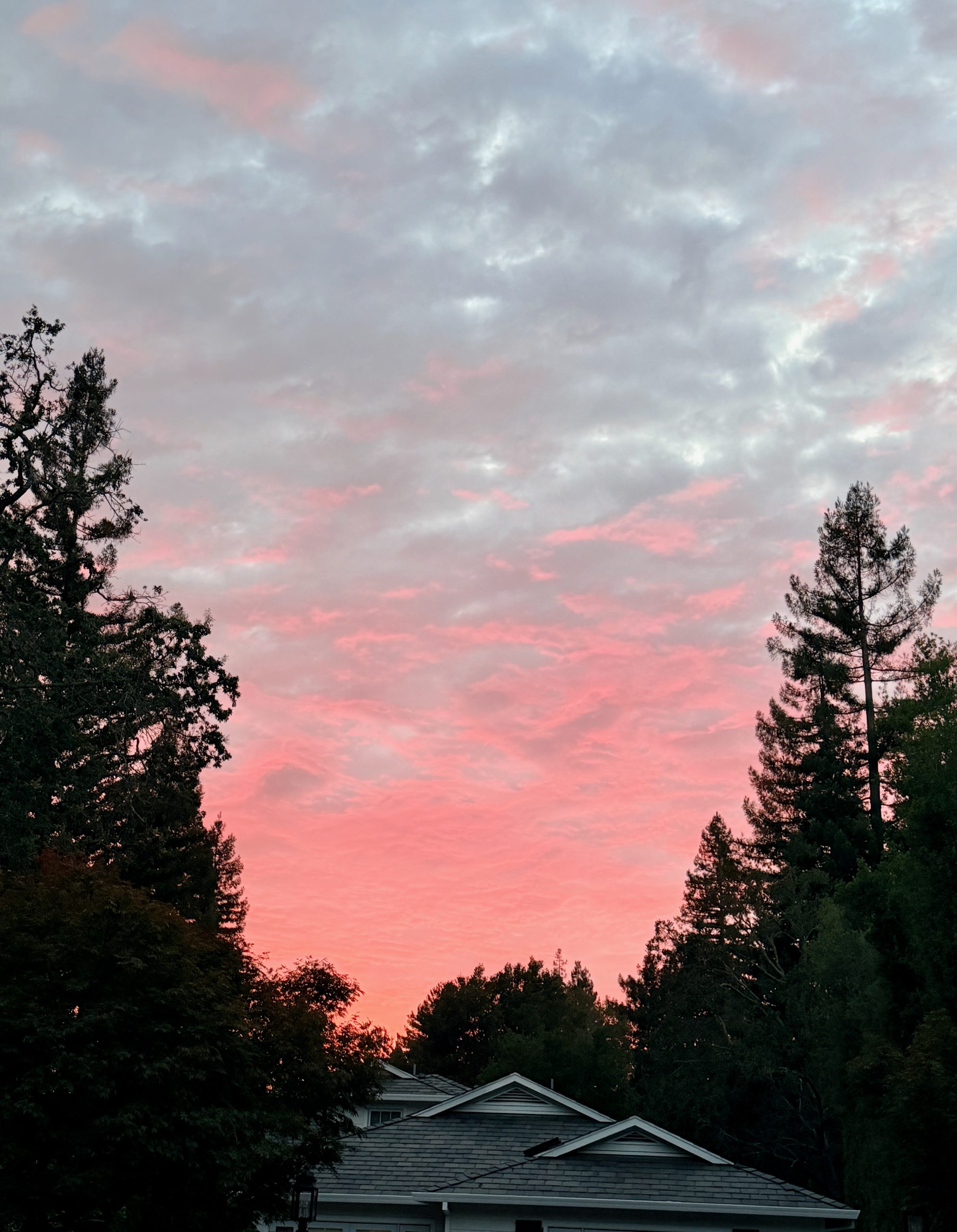 sunset in Atherton
