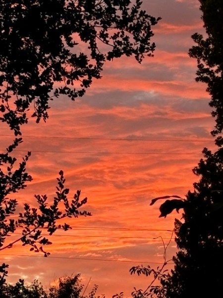 Robin Tobias sunset