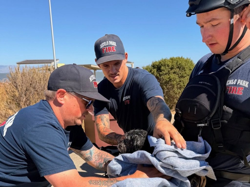 Menlo Park Fire rescues dog that was swimming in the San Francisco Bay