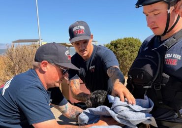 Menlo Park Fire rescues dog that was swimming in the  San Francisco Bay