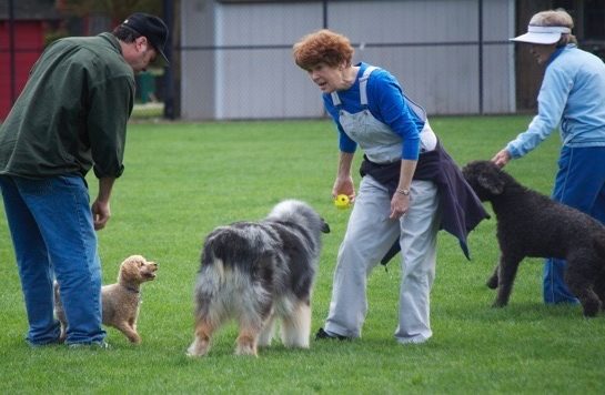 Off-leash dogs are welcome at these two Menlo Park parks