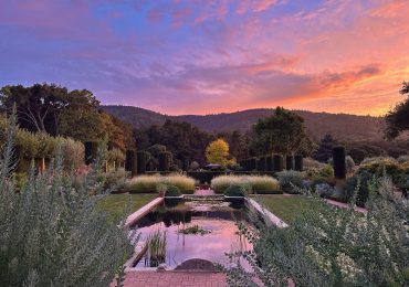Spotted: Beautiful sunset at Filoli during Summer Nights
