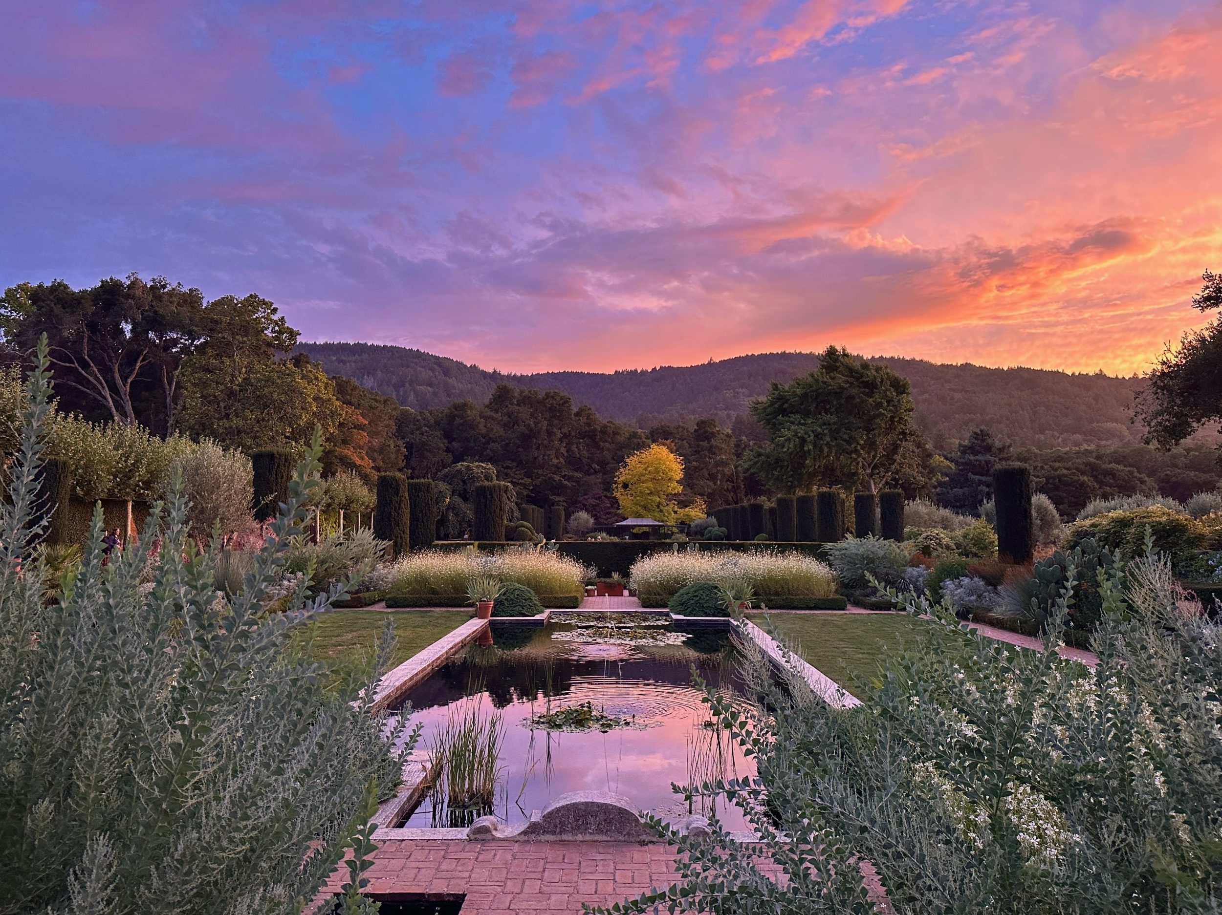 Spotted: Beautiful sunset at Filoli during Summer Nights