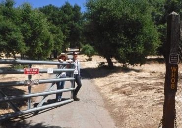 Get current information about the Hawthorns Area Plan project