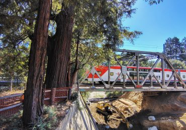 The Other Side of the Creek: Before El Palo Alto Stood Alone