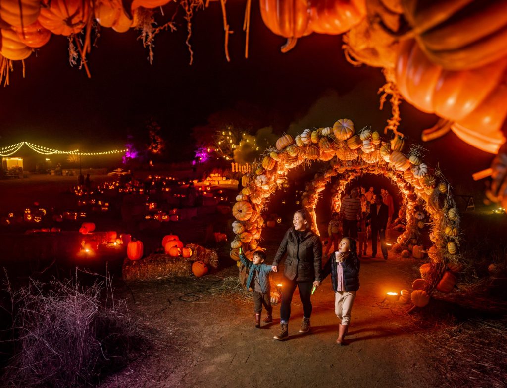 Filoli’s Nightfall returns September 26–November 1