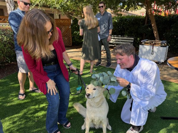 animal blessing at New Community Church