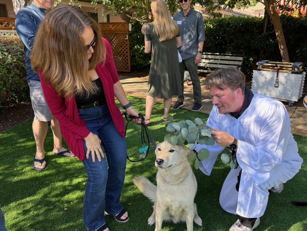 Local churches plan animal blessings on October 4