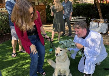 Local churches plan animal blessings on October 4