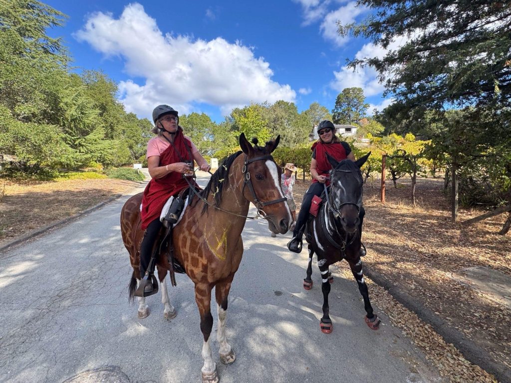 Woodside Day of the Horse activities set for October 10 & 11