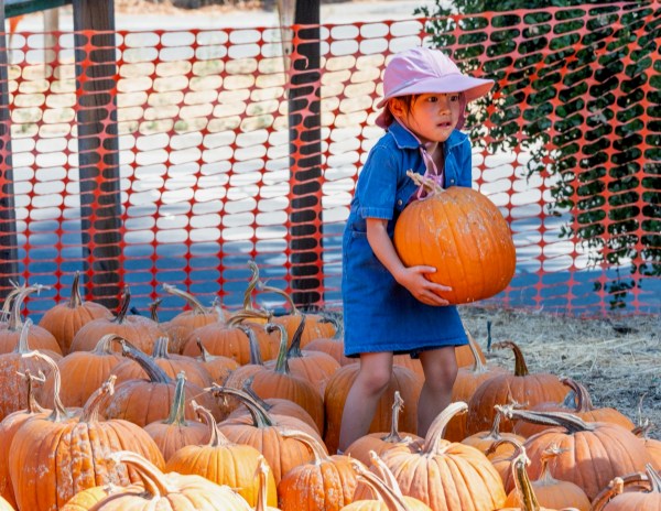 girl with pumpkin