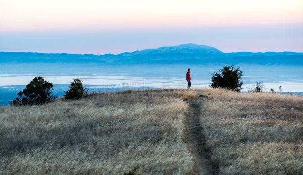 Midpen Open Space announces winners of annual photo contest – including two with local ties
