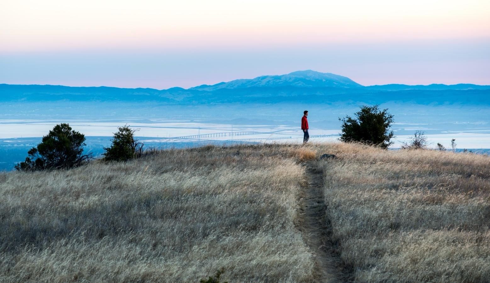 Midpen Open Space announces winners of annual photo contest – including two with local ties