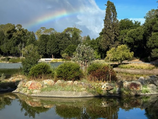 Spotted: Rainbow over Sharon Park this morning