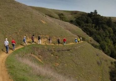 Explore summertime berries while walking Windy Hill Open Space Preserve on September 13