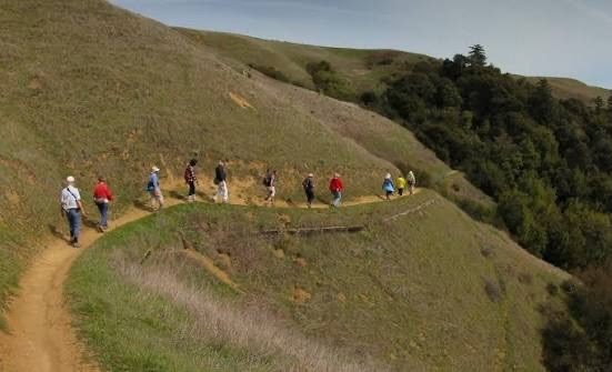 Explore summertime berries while walking Windy Hill Open Space Preserve on September 13
