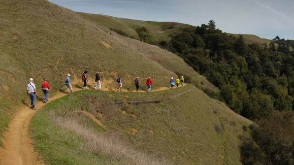 Windy Hill Open Space Preserve Trail