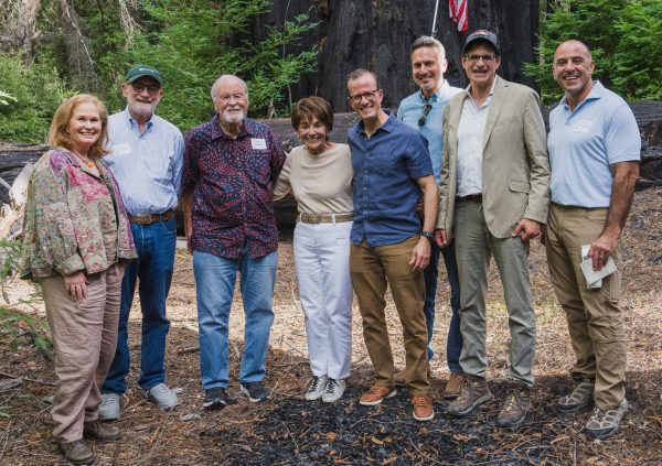 Old-growth Redwood at Big Basin dedicated to former Congresswoman Anna Eshoo