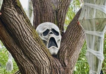 Sherman Avenue continues to be “best Halloween street”