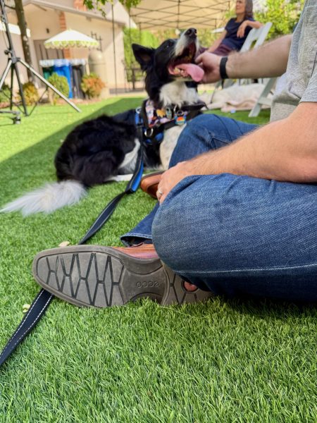 dog blessing at New Community Church