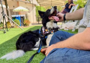 Spotted: Dogs getting ready to be blessed at New Community Church