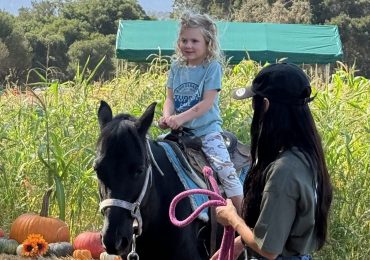 Pony rides and tortoise viewing delight visitors at Webb Ranch Pumpkin Patch