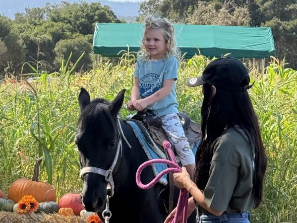 Pony rides and tortoise viewing delight visitors at Webb Ranch Pumpkin Patch