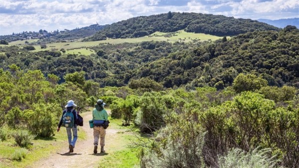 open spaces on the Peninsula