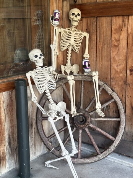 skeletons with drinks Dutch Goose