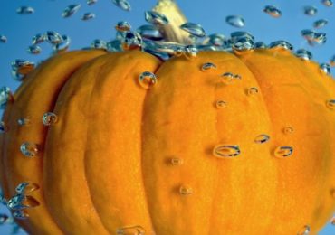 Enjoy Pumpkin Splash at Belle Haven and Burgess Pools on Sunday, Oct. 25